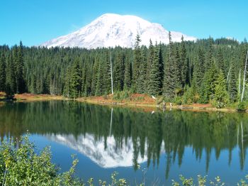 Mt. Rainier
