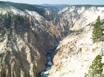 Yellowstone